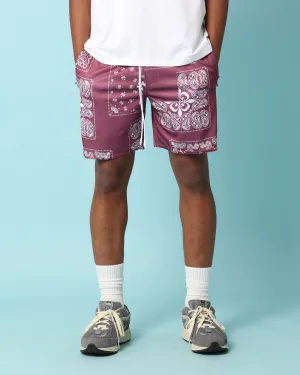 Carr?? Fragment Mesh Shorts Port