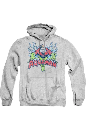 DC Comics Splish Splash Adult Pull Over Hoodie / Hooded Sweatshirt