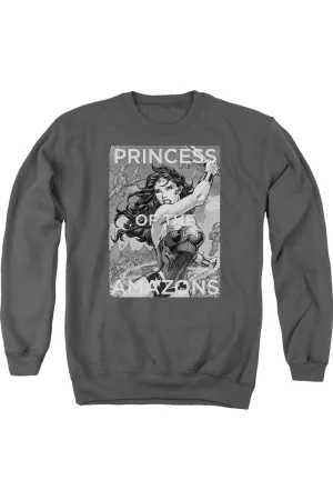 Justice League of America Princess Of The Amazons Adult Crewneck Sweatshirt