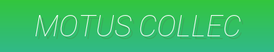 Motus Collective - Biomechanic Activewear | Seamless Yoga Sets & Running Joggers